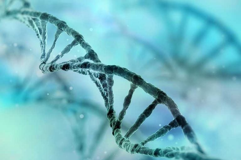 Thumb-Gene-Editing-768×512 Thumb-Gene-Editing-768x512